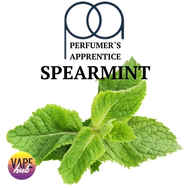 Ароматизатор TPA/TFA 5 мл - Spearmint — купити