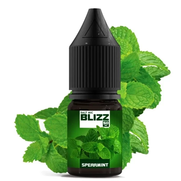 Рідина BLIZZ Salt 10ml/25mg Spearmint — купити