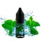 Menthol Menthol