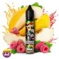 Raspberry Honeydew