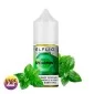 Spearmint Spearmint